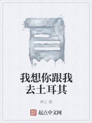 我想要和你一起去土耳其是什么歌曲