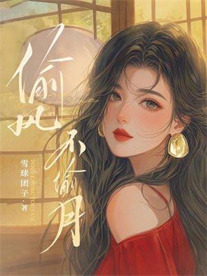 偷风不偷月讲的什么内容