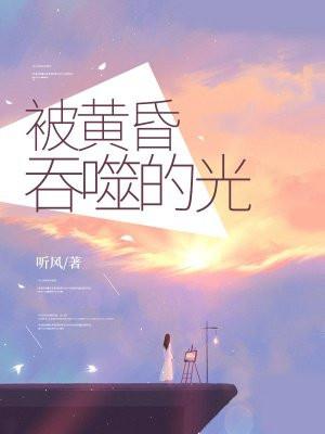 被黄昏吞噬的光免费阅读