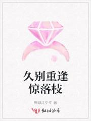 久别重逢重的意思