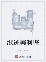 混在美利坚的日子起点中文网