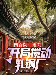 四合院开局打断棒梗的腿