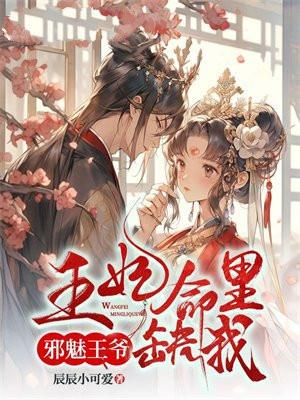 邪魅王妃王爷追妻忙