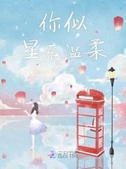 你似星夜满分甜阅读