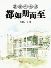 所得皆所愿的意思