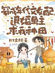 穿成年代的女配穿书