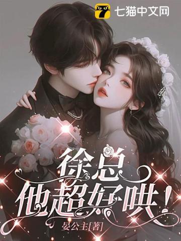 徐总他超好哄剧情简介