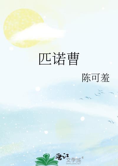 匹诺曹的谎言攻略