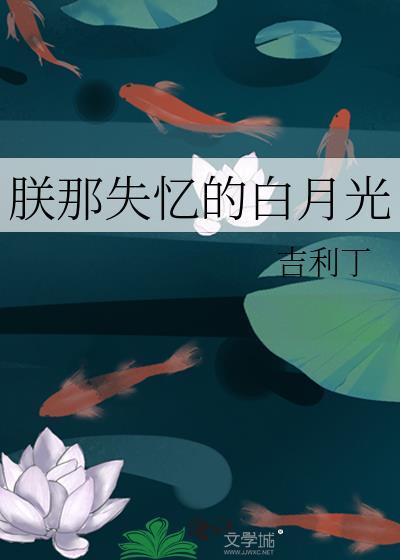 朕那失忆的白月光TXT资源