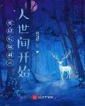 影视编辑器免费阅读