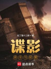 谍影命令与征服无错版