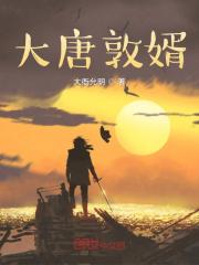 大唐赘婿免费