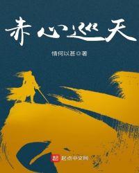 赤心巡天txt