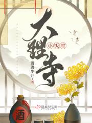 大理寺小饭堂讲什么故事