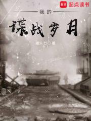 我的谍战岁月百度