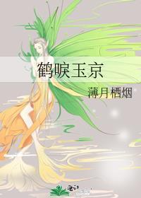 鹤唳玉京讲的什么