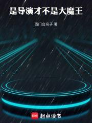 华娱导演只想省钱精校版