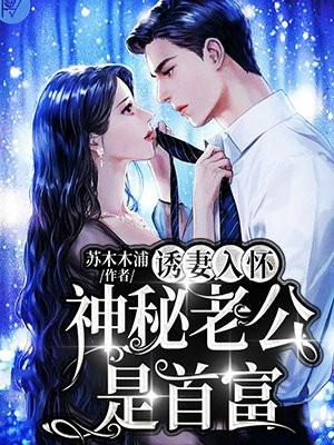 书名神秘老公诱追妻