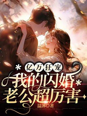 闪婚老公送上门免费阅读
