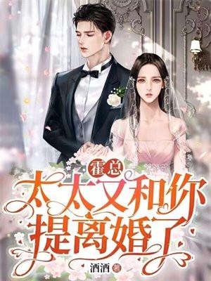 太太又和你提离婚了txt