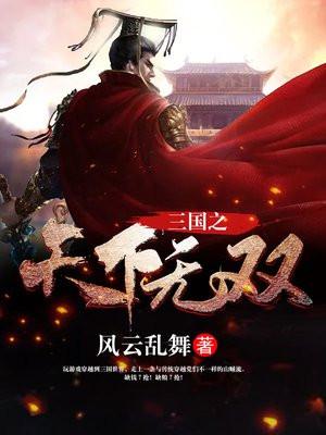 三国之天下无双笔趣阁