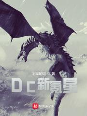 dc新氪星xf-cn
