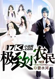 极品小农民复制