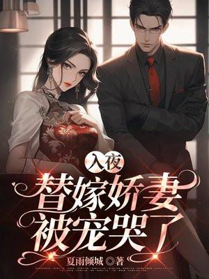 替嫁新妻夜少