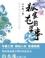 狐家屯的孽事儿山水魂全本免费