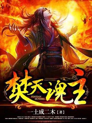 焚天魂主 一土成二木