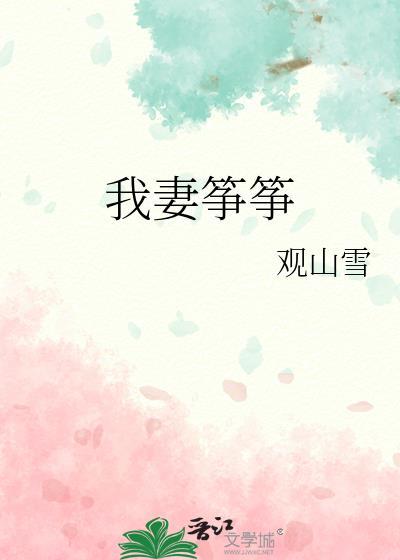 我妻筝筝免费阅读