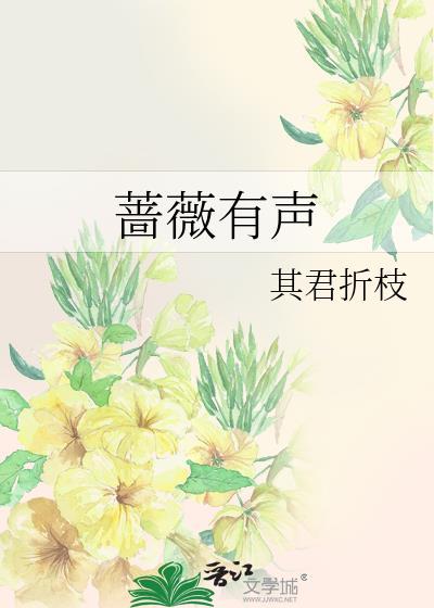 蔷薇有声by其君折枝txt
