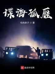 谍海孤雁TXT百度 谍海孤雁TXT百度