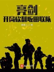 亮剑开局砍翻坂田联队百度