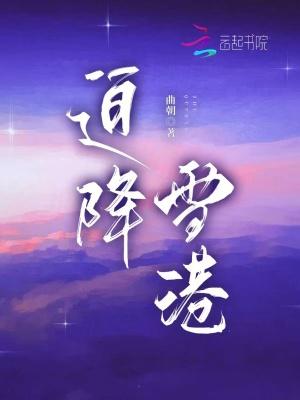 迫降雪港免费 迫降雪港免费