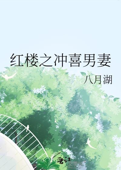 红楼之冲喜男妻番外