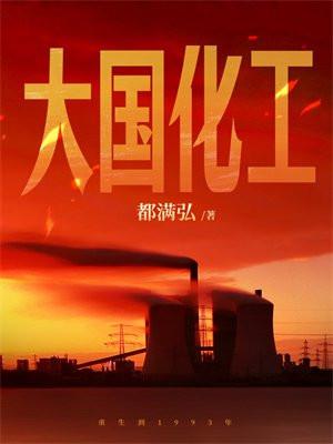 大国化工TXT奇书网