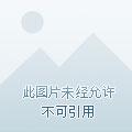 我的天赋无上限林天浩周小胖 第1450章