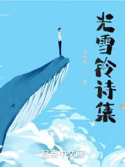 获得光的资格诗集