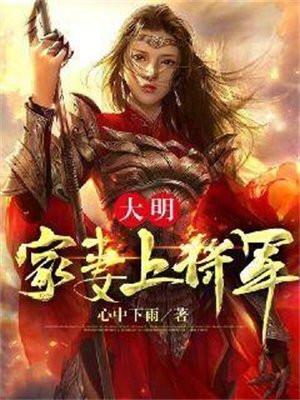 大明家妻上将军奇快网