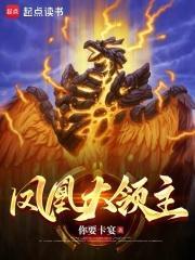 凤凰大领主起点
