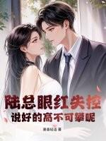 电视剧陆总是哪一部