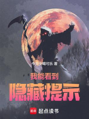 我能看到隐藏提示