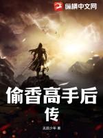 偷香高手后传无辰