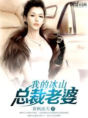 我的冰山总裁老婆主角几个老婆