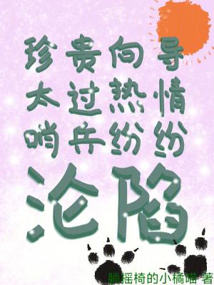 向导哨兵的