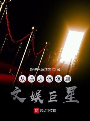 从偶像男团到巨星