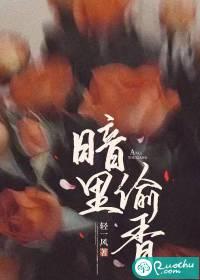 暗里偷香轻一风笔趣阁