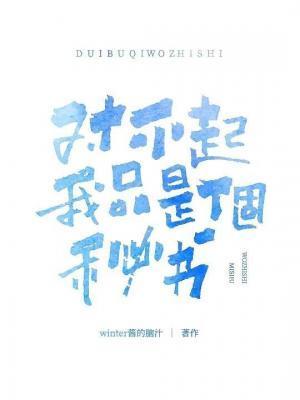 对不起我是mb全文