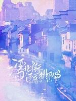 湾北新区规划